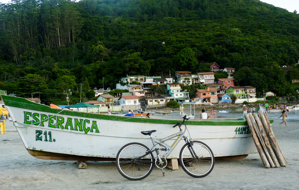 Panasonic Lumix DMC-FZ35 (Lumix DMC-FZ38) sample photo. Hope, brazil photography