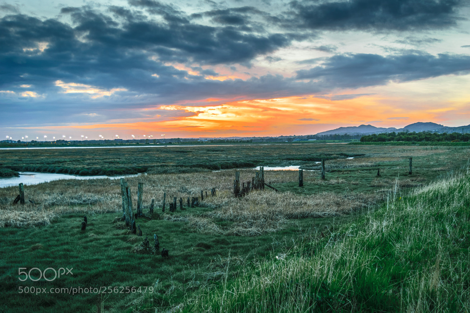 Nikon D5300 sample photo. Lovely sunset photography