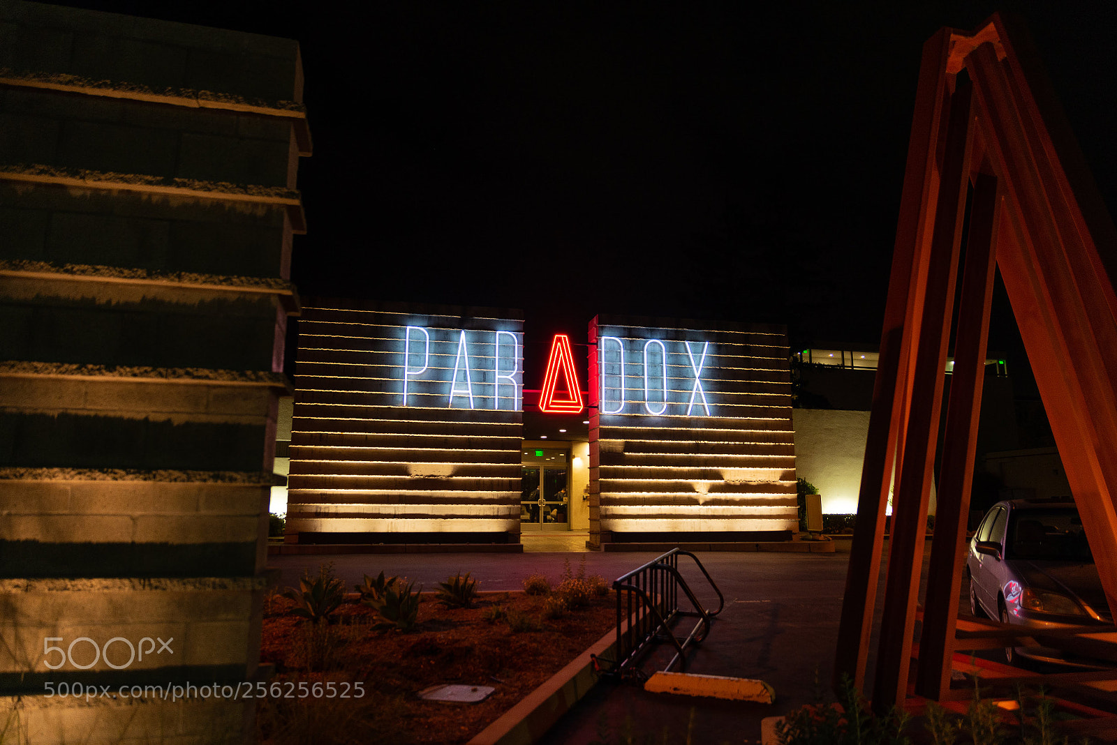 Nikon D610 sample photo. Paradox photography