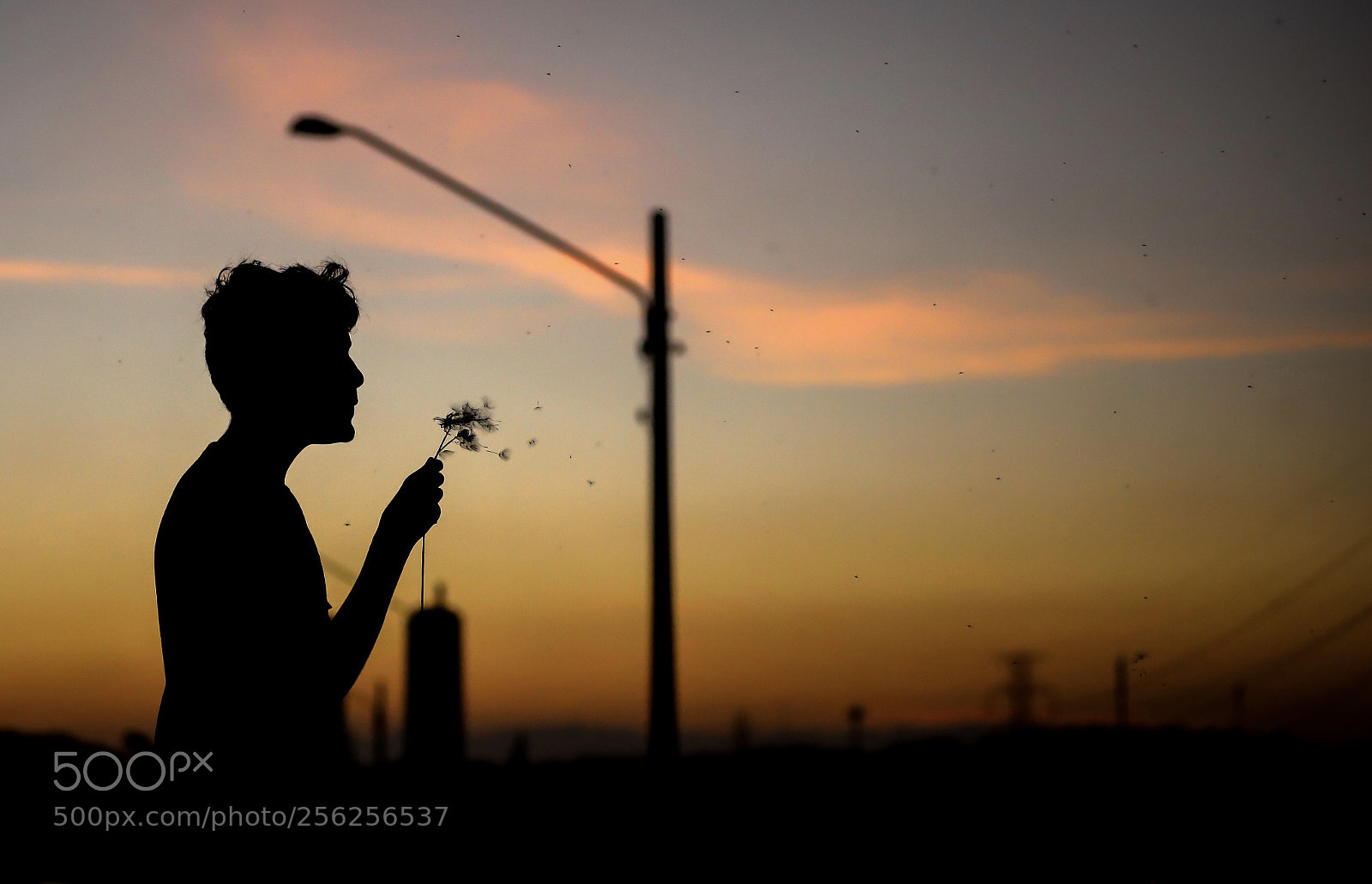 Canon EOS 5D Mark IV sample photo. A wish ...  photography