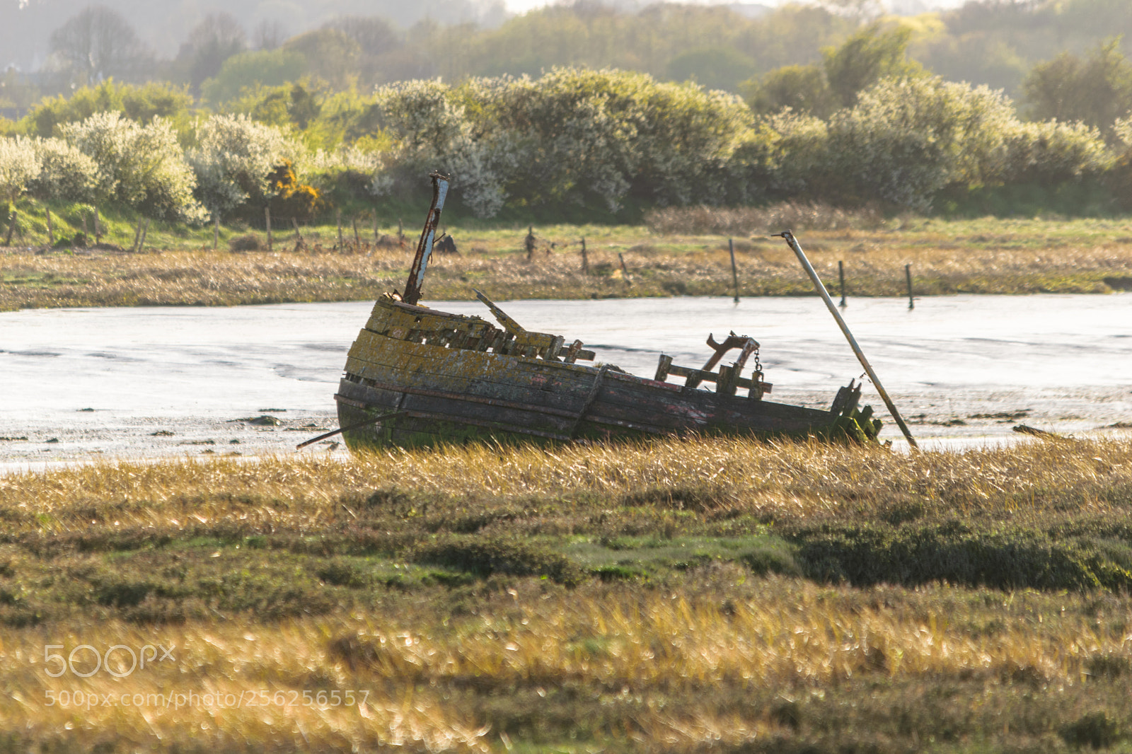 Nikon D5300 sample photo. Boat wreck photography