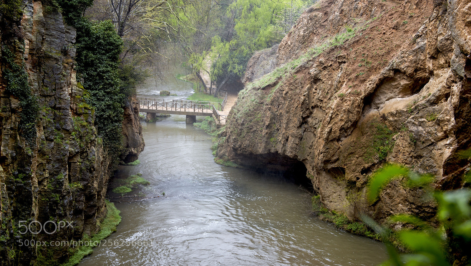 Canon EOS 6D sample photo. Img photography