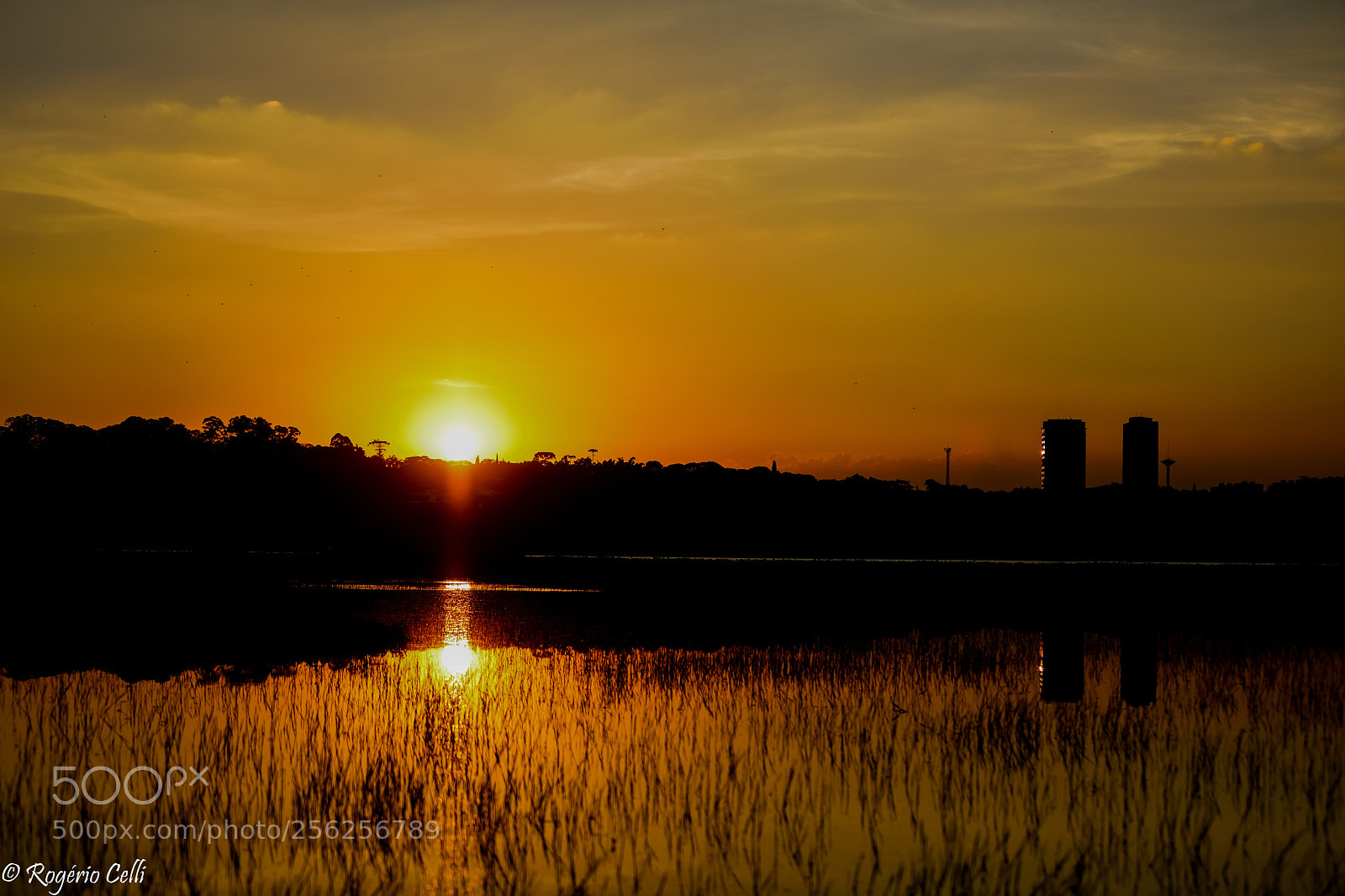 Canon EOS 5D Mark IV sample photo. Orange sunset photography