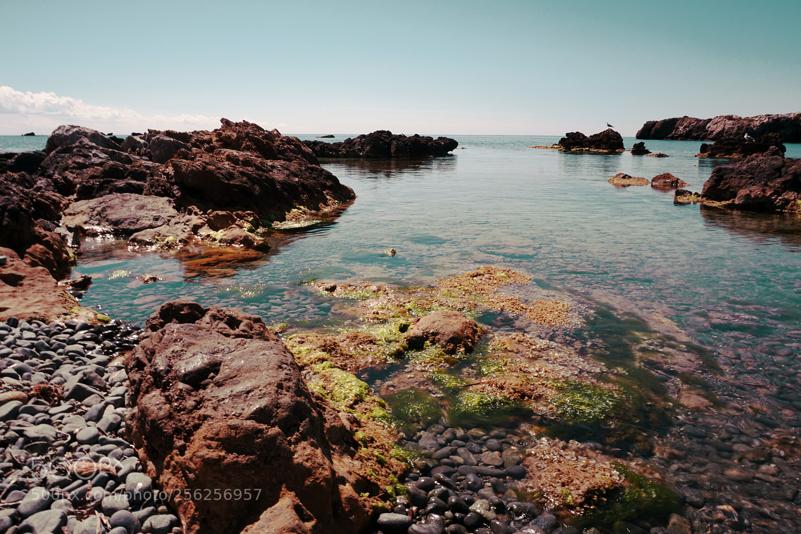 Sony a5100 sample photo. Isla de tabarca, reserva photography