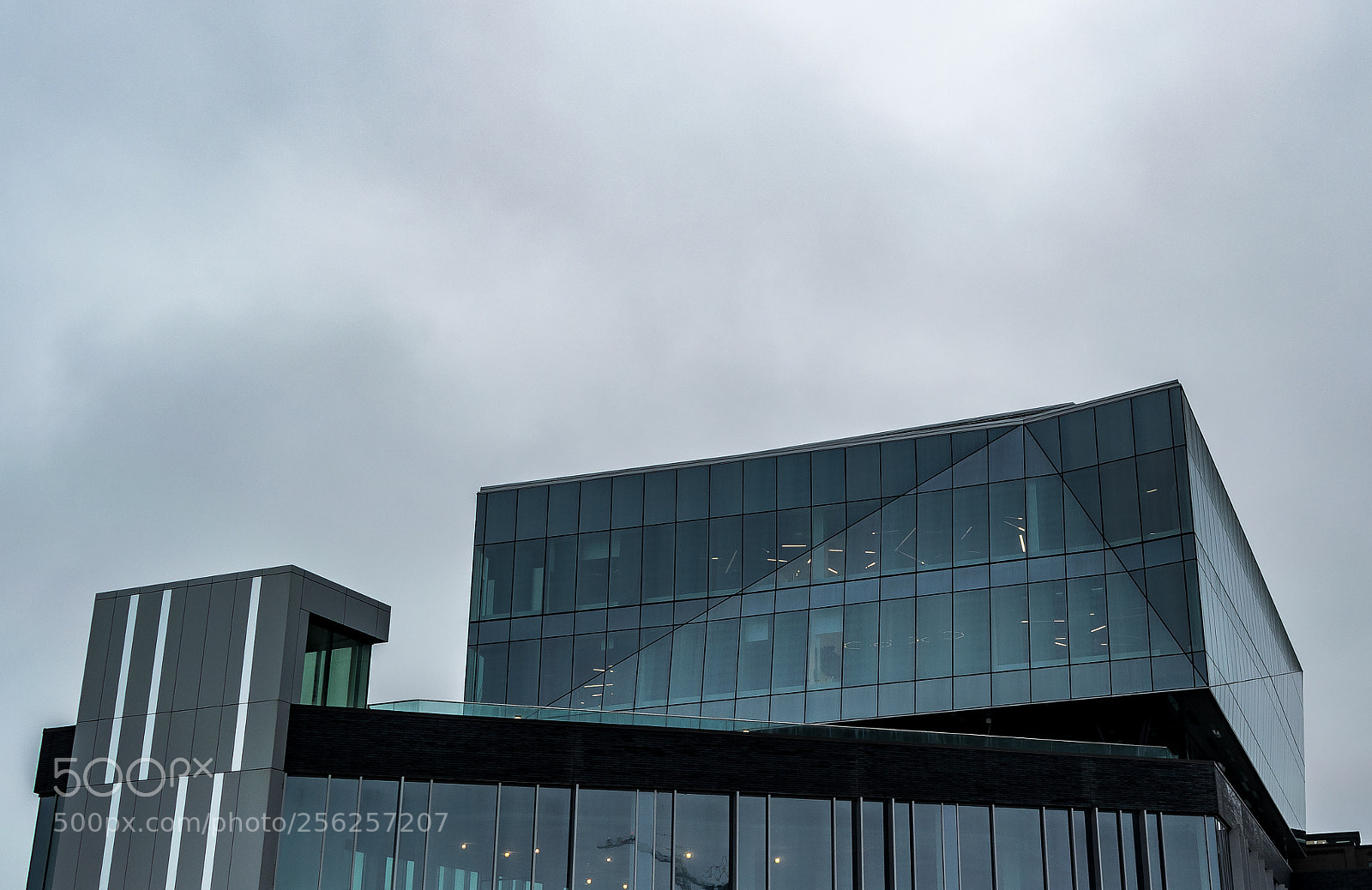 Nikon D3300 sample photo. 3-27-2018-5.jpg photography