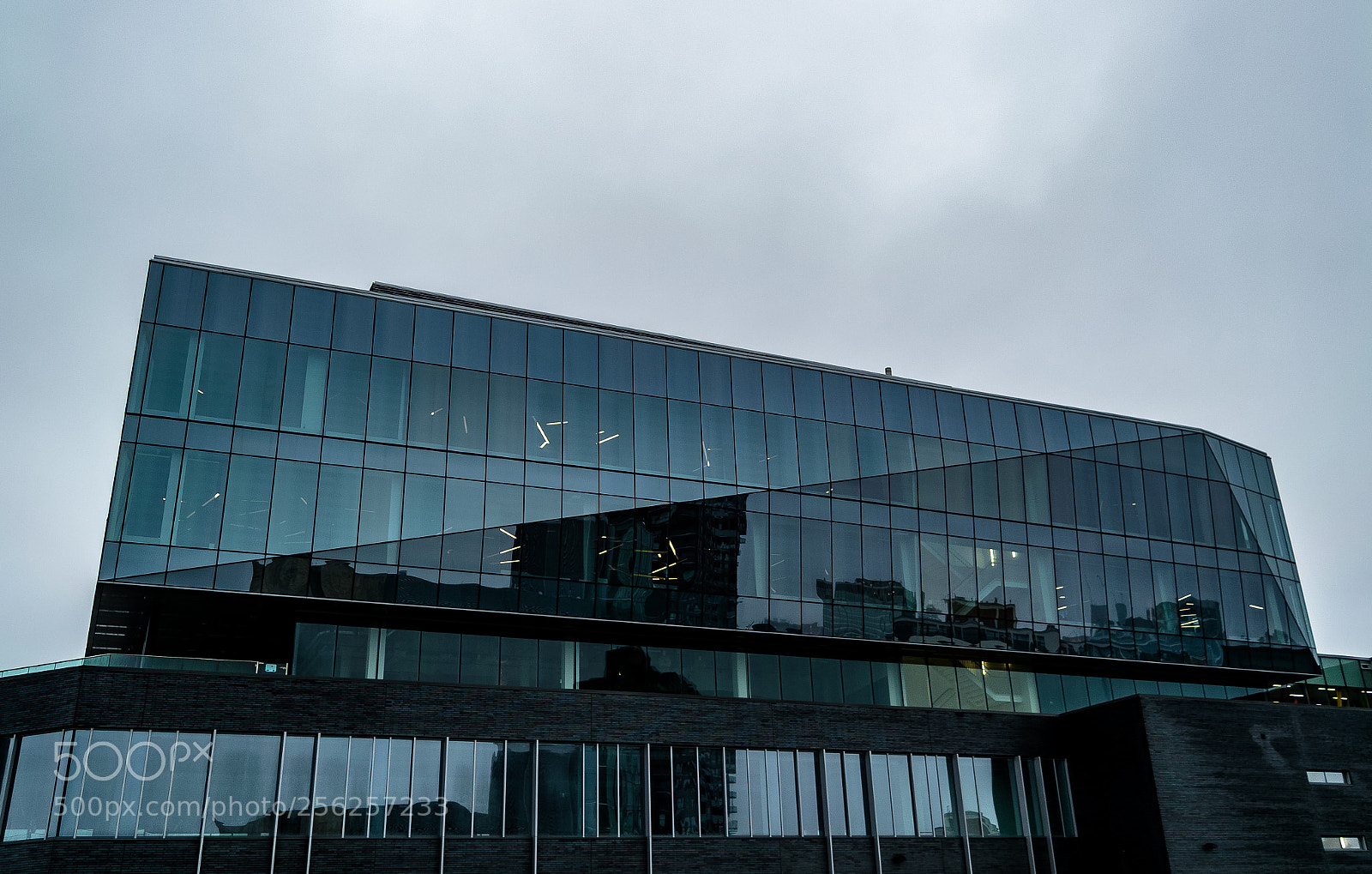Nikon D3300 sample photo. 3-27-2018-6.jpg photography