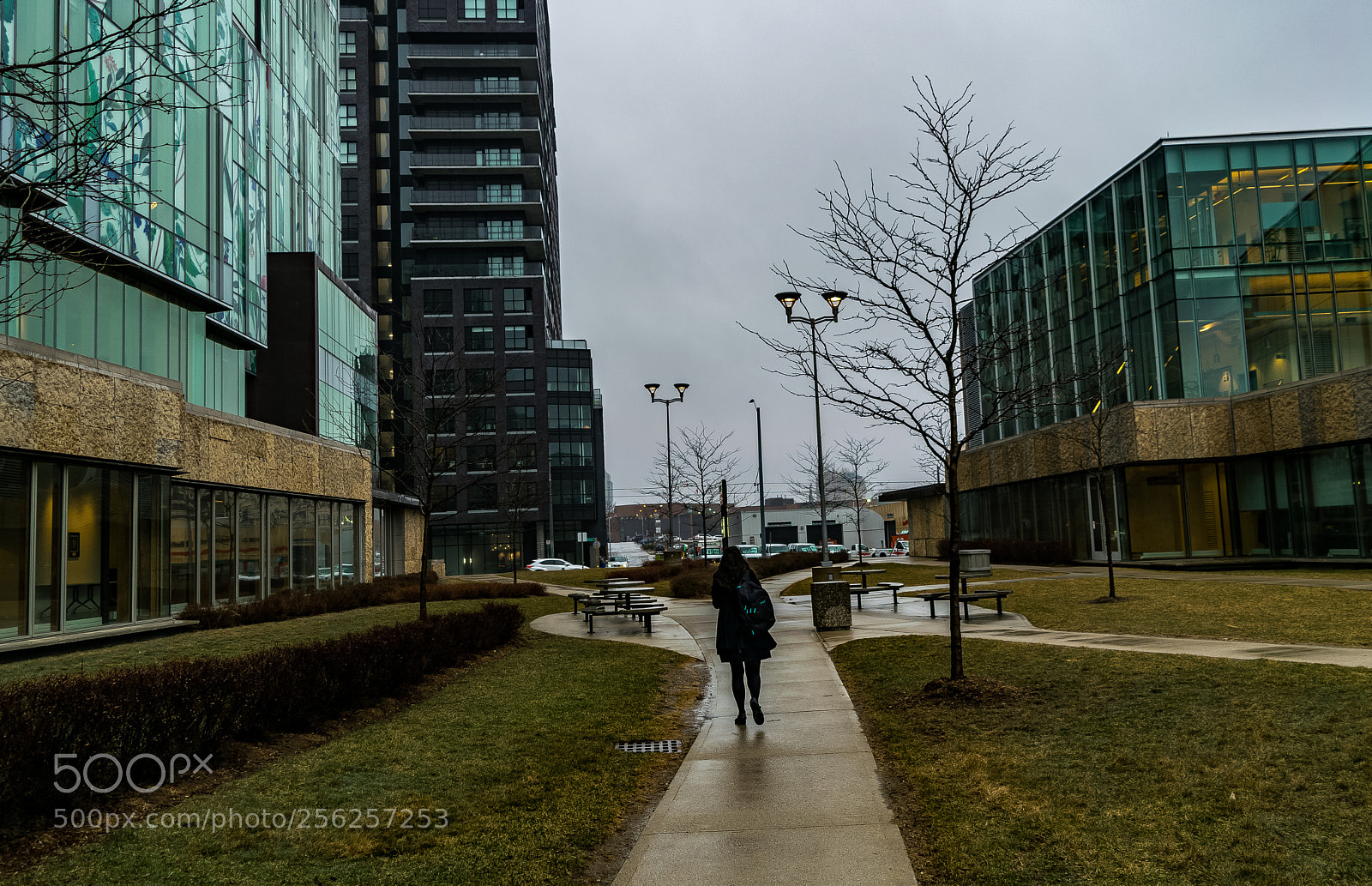 Nikon D3300 sample photo. 3-27-2018-9.jpg photography