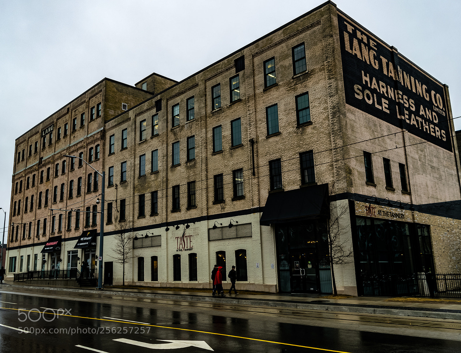 Nikon D3300 sample photo. 3-27-2018-10.jpg photography