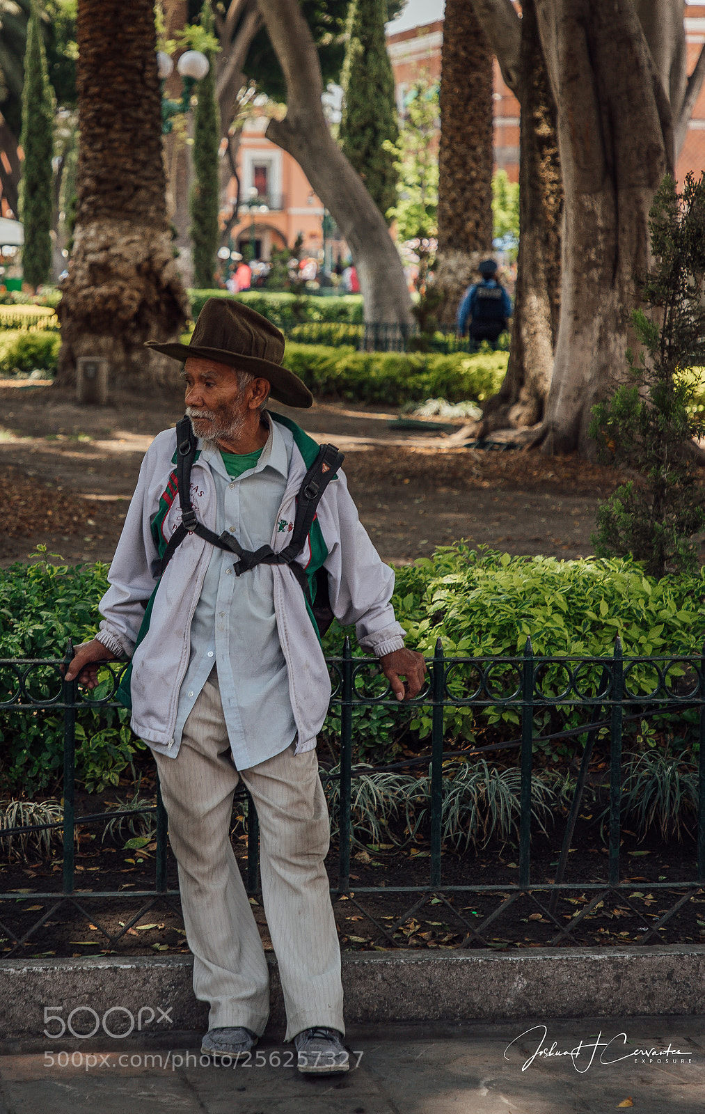 Canon EOS 6D Mark II sample photo. The greatest teachings cannot photography