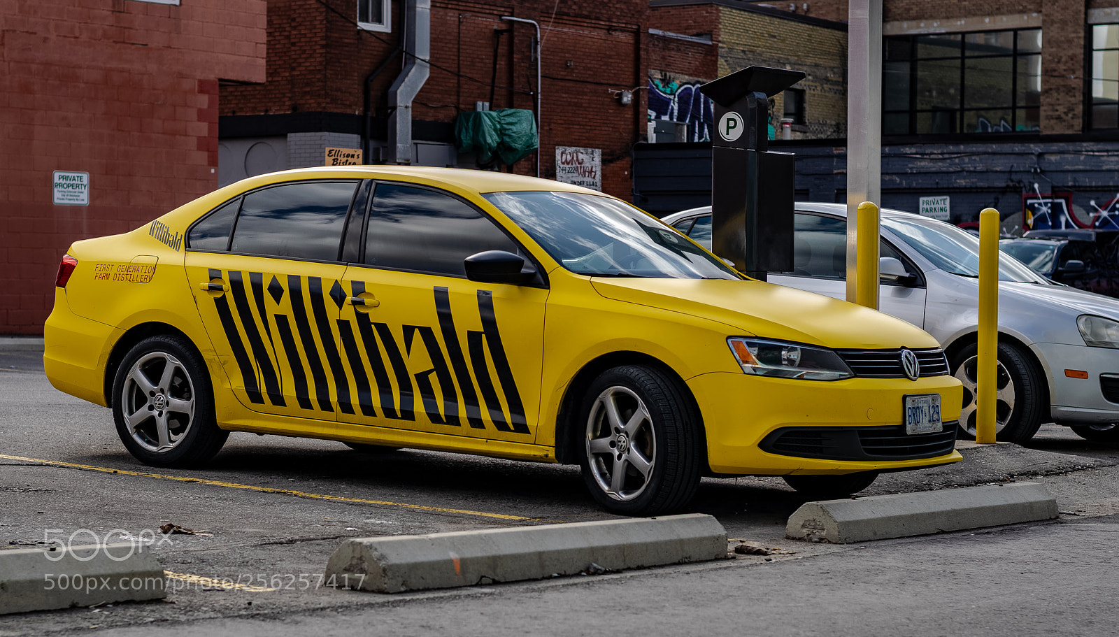 Nikon D3300 sample photo. 4-5-2018.jpg photography