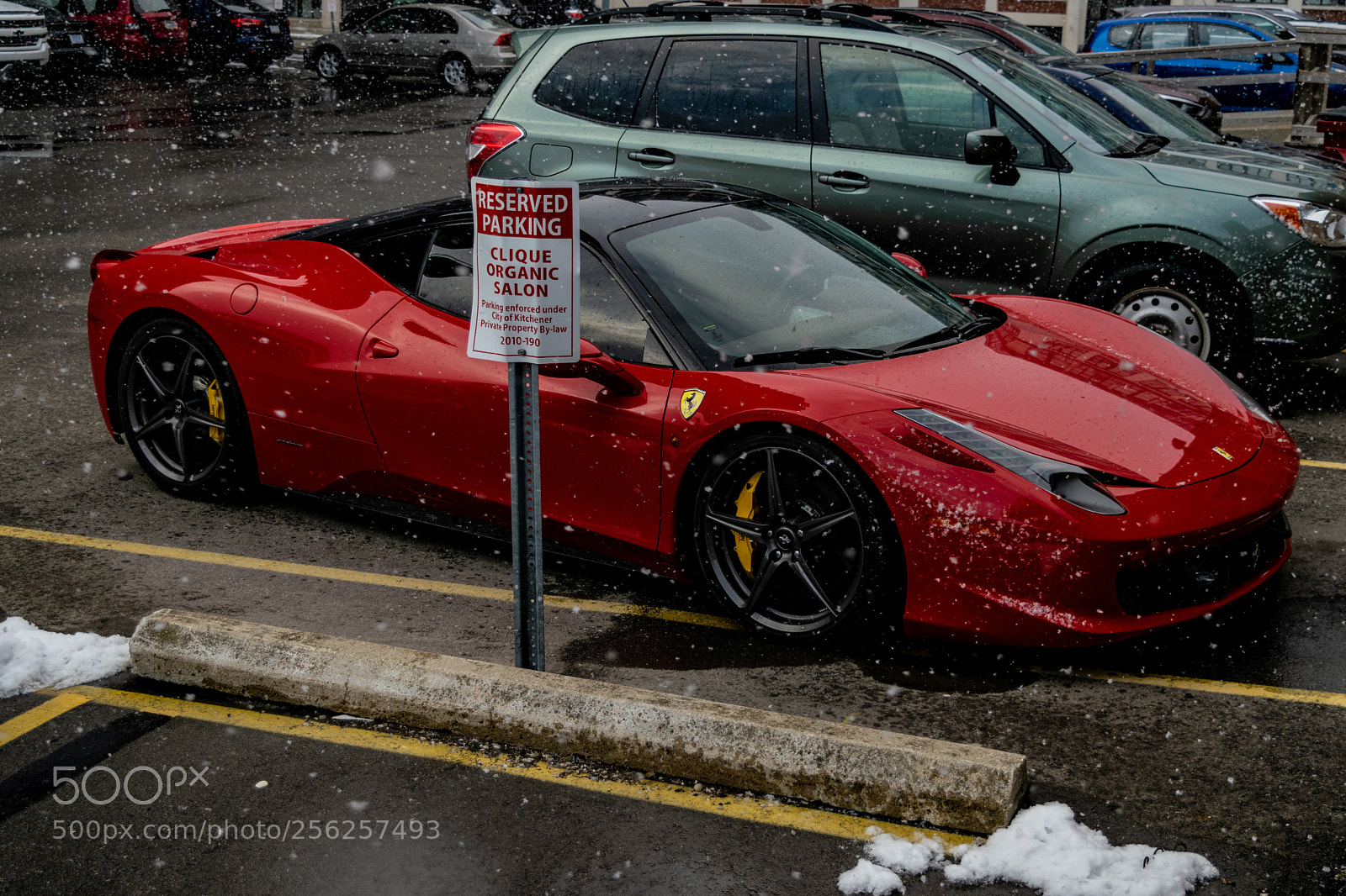 Nikon D3300 sample photo. 4-6-2018-5.jpg photography