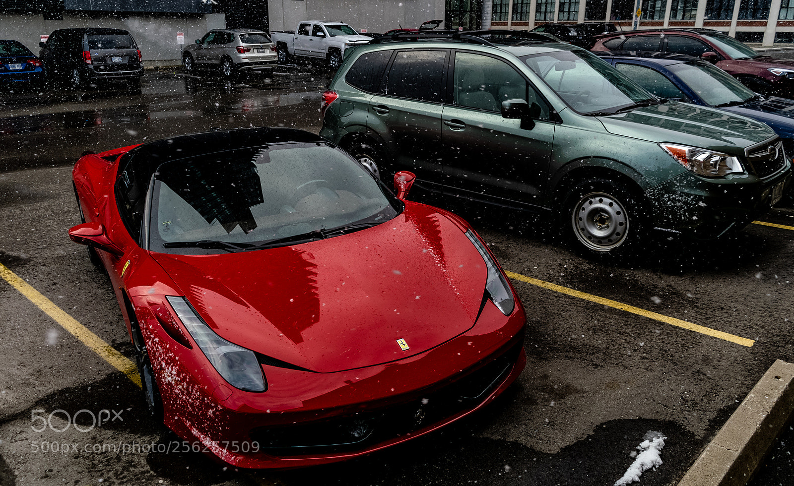 Nikon D3300 sample photo. 4-6-2018-6.jpg photography