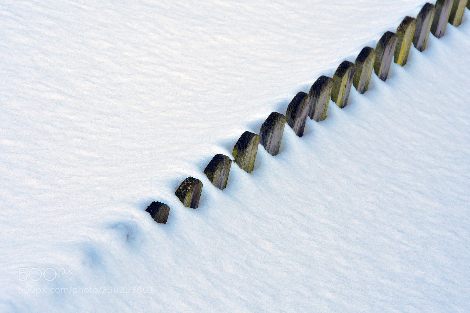 Nikon D7200 sample photo. Fence and snow copy photography