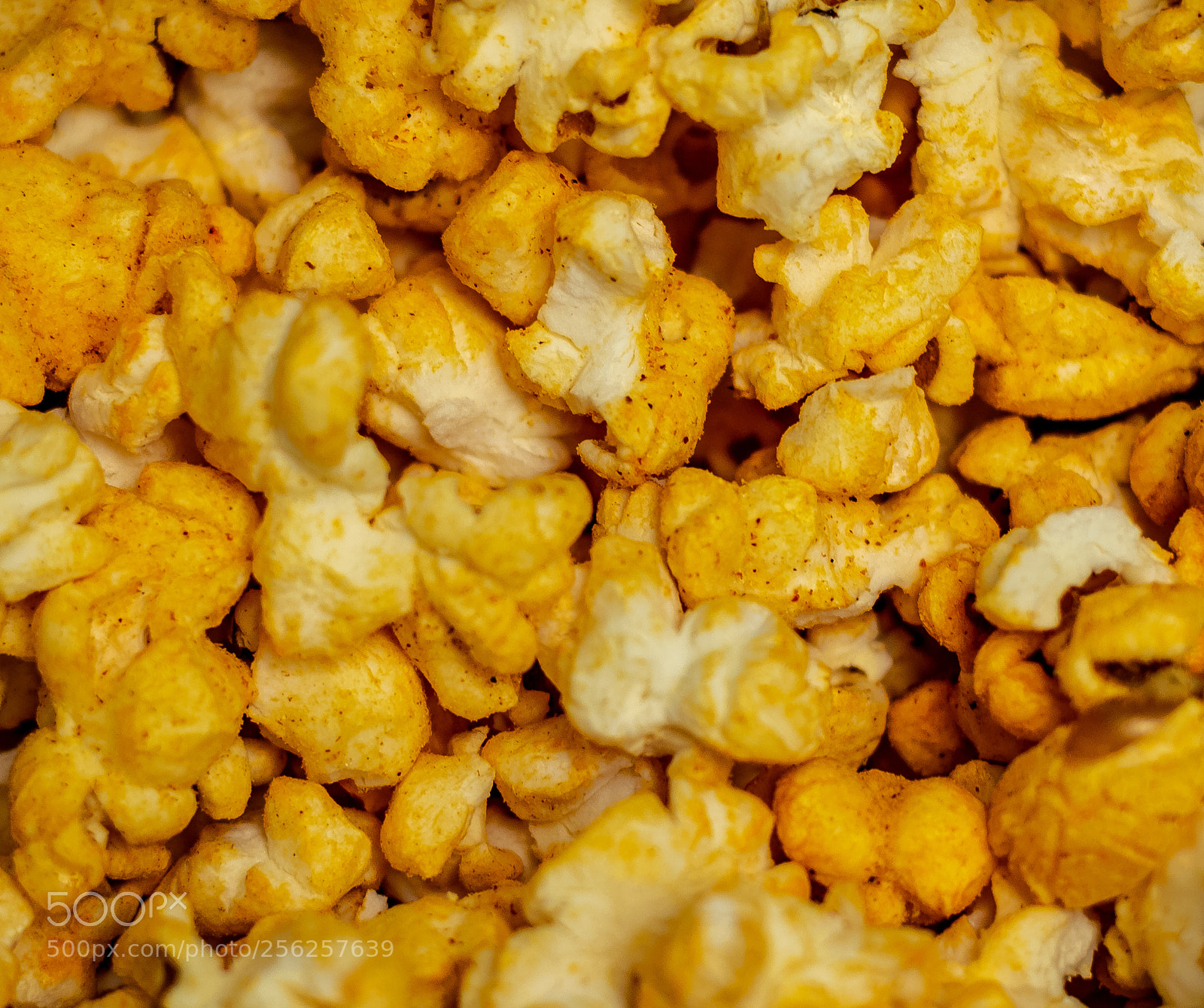 Nikon D3300 sample photo. 4-15-2018-6.jpg photography