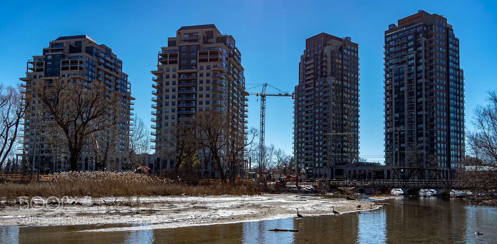 Nikon D3300 sample photo. 18-3-2018-2.jpg photography