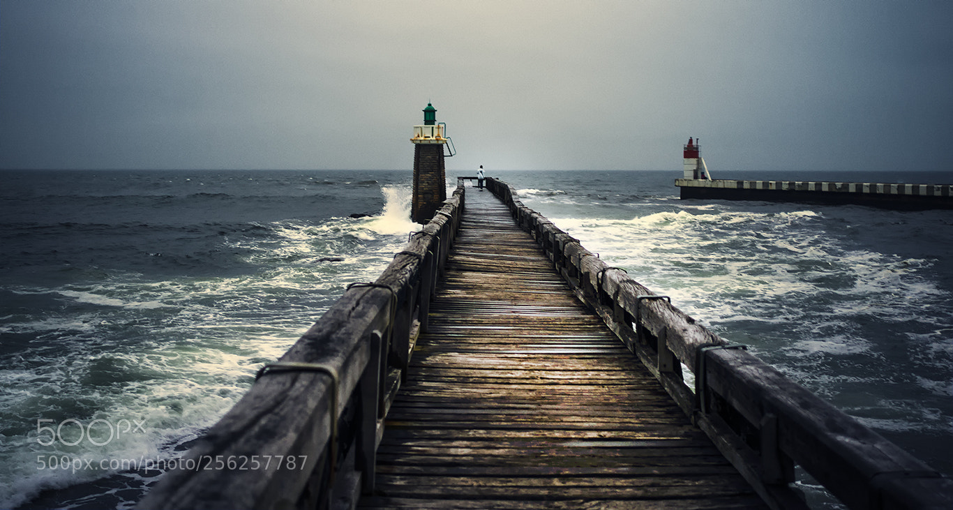 Hasselblad X1D-50c sample photo. One the pier... photography
