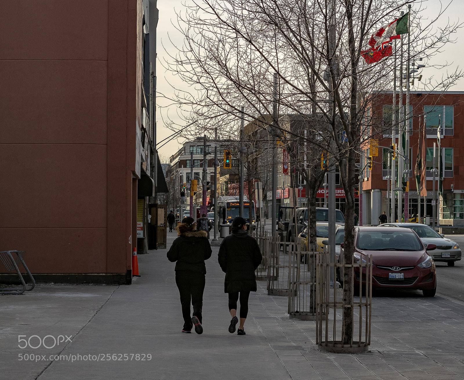 Nikon D3300 sample photo. 21-3-2018-2.jpg photography