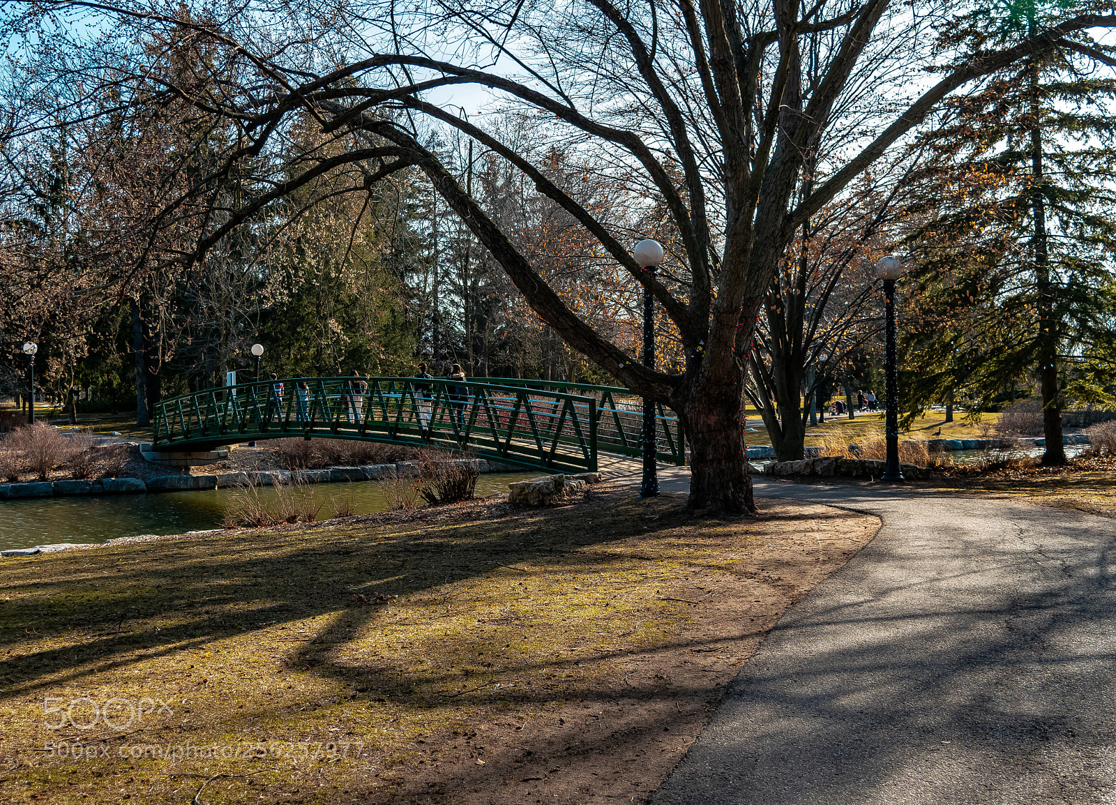 Nikon D3300 sample photo. D photography