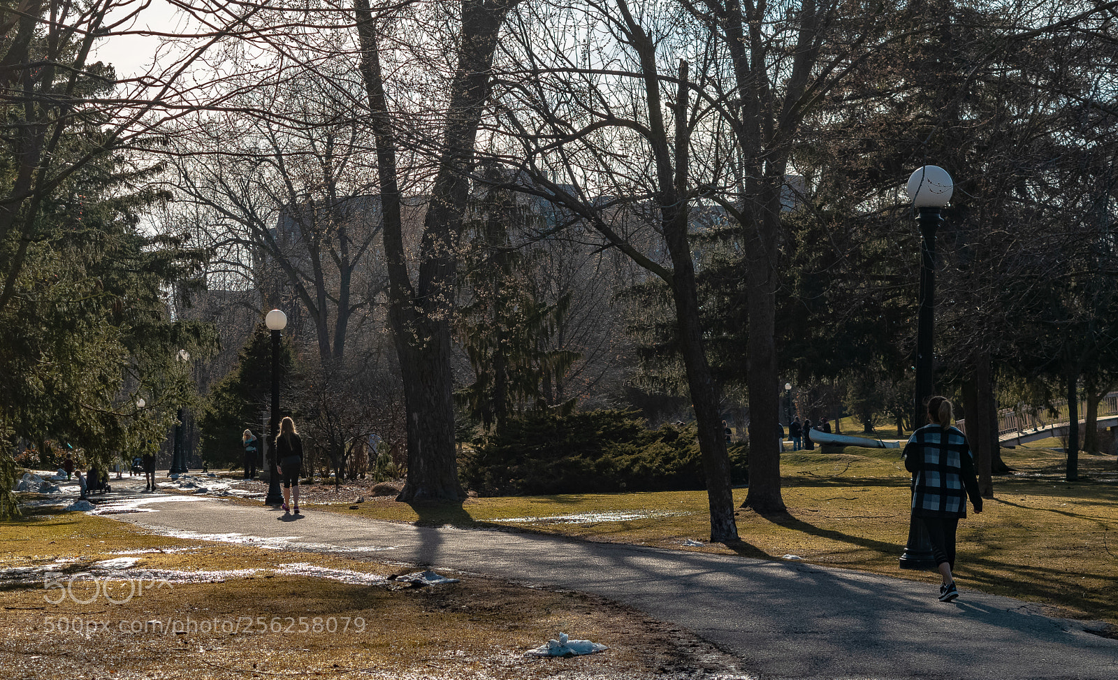 Nikon D3300 sample photo. D photography