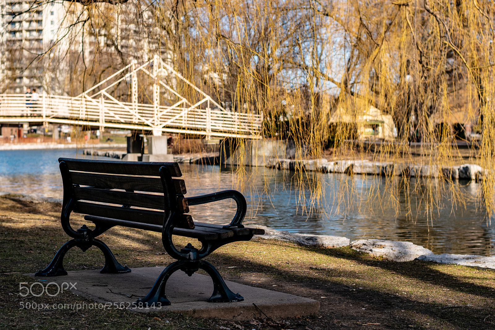 Nikon D3300 sample photo. D photography