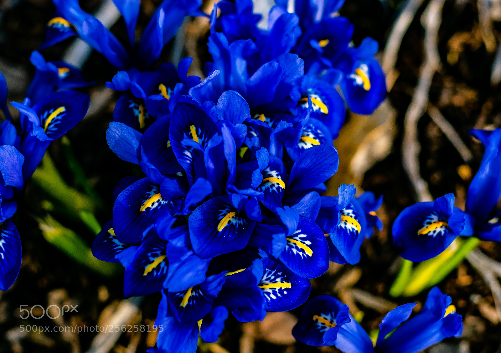 Nikon D3300 sample photo. D photography