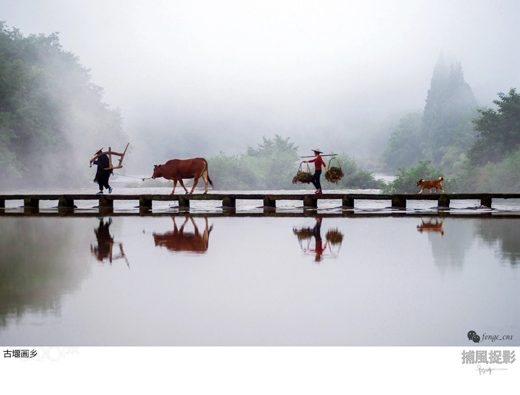 Nikon D800 sample photo. 古堰画乡 photography