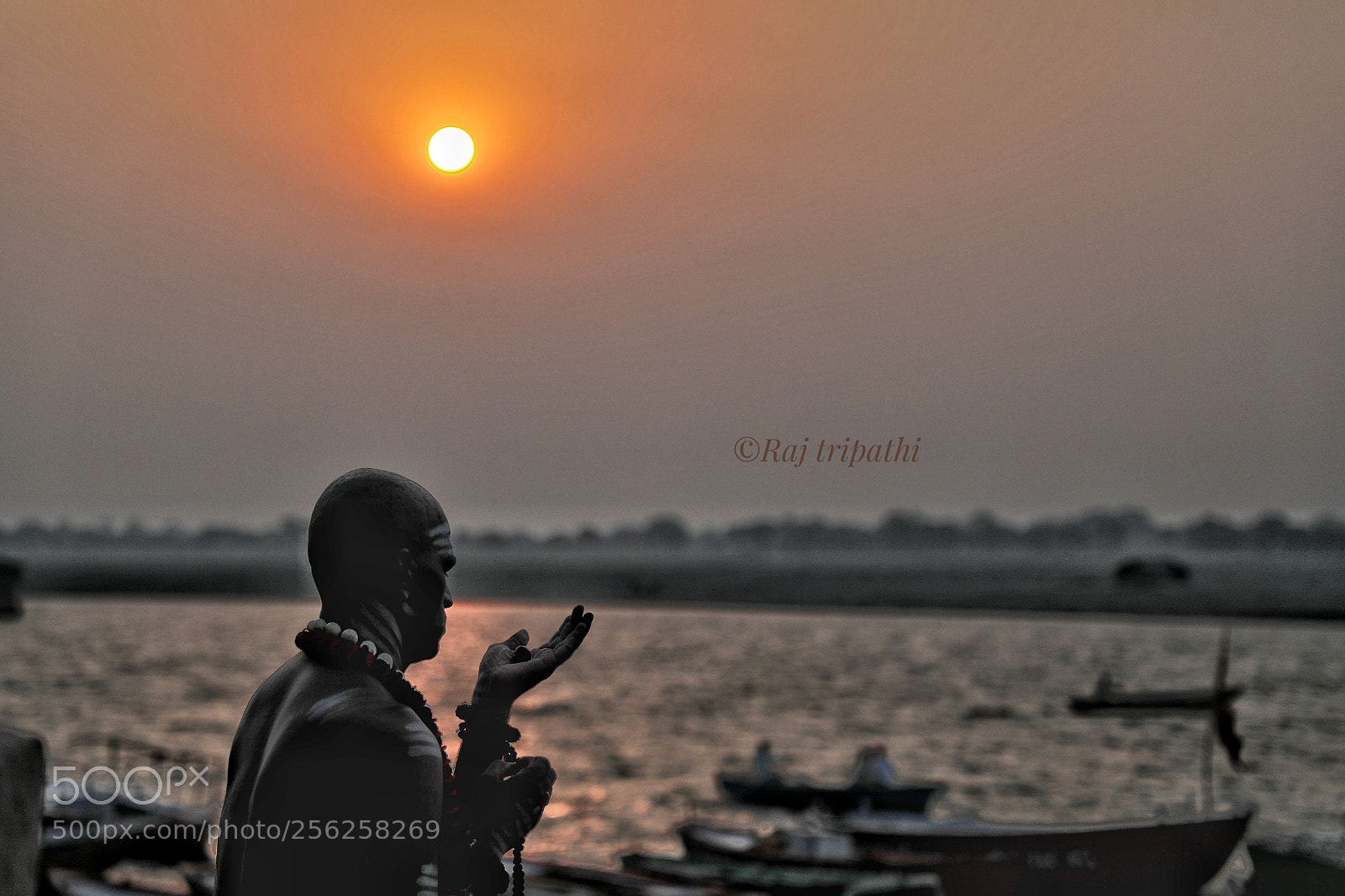 Canon EOS 5D Mark IV sample photo. Untitled photography