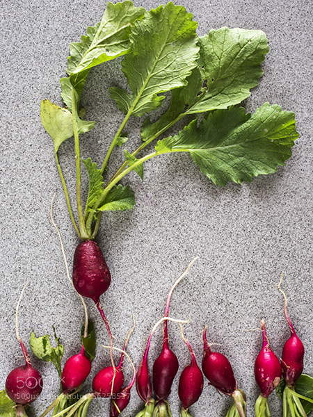 Olympus OM-D E-M1 sample photo. Fresh organic radishes photography