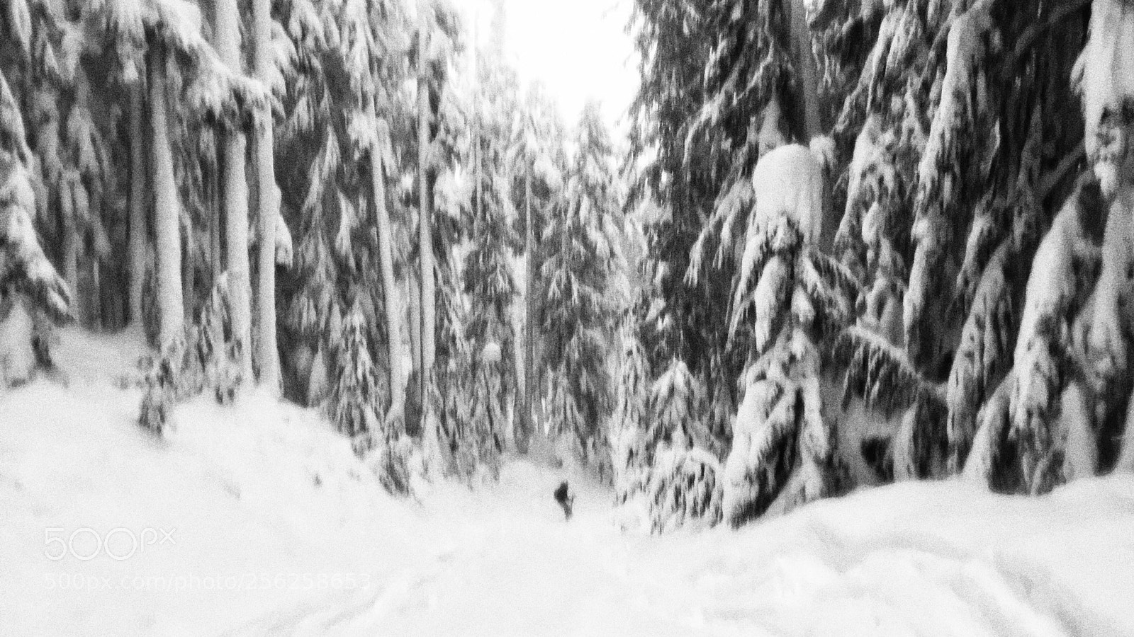 Apple iPhone 6s sample photo. Whiteout photography