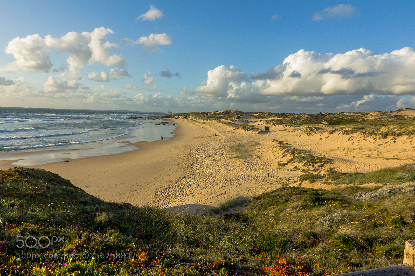 Canon EOS 550D (EOS Rebel T2i / EOS Kiss X4) sample photo. Alentejo by the sea photography