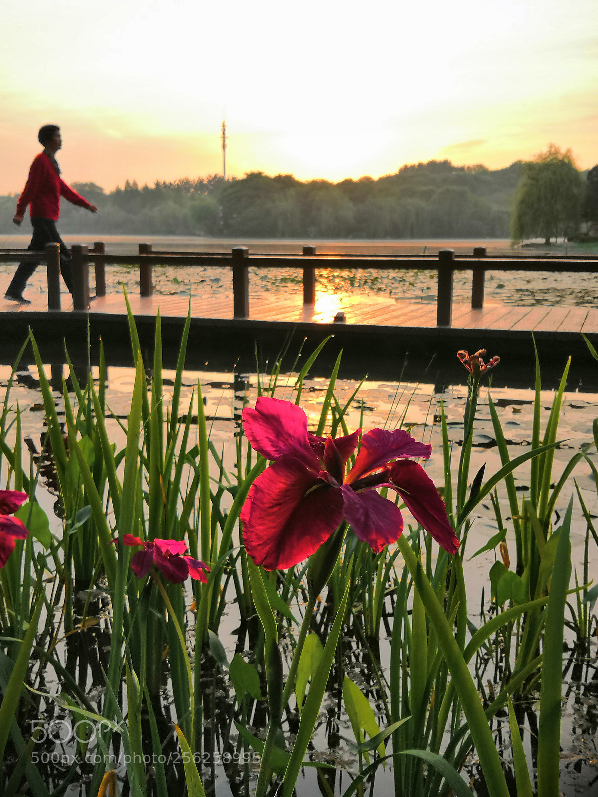 HUAWEI Honor 10 sample photo. Sunrise photography