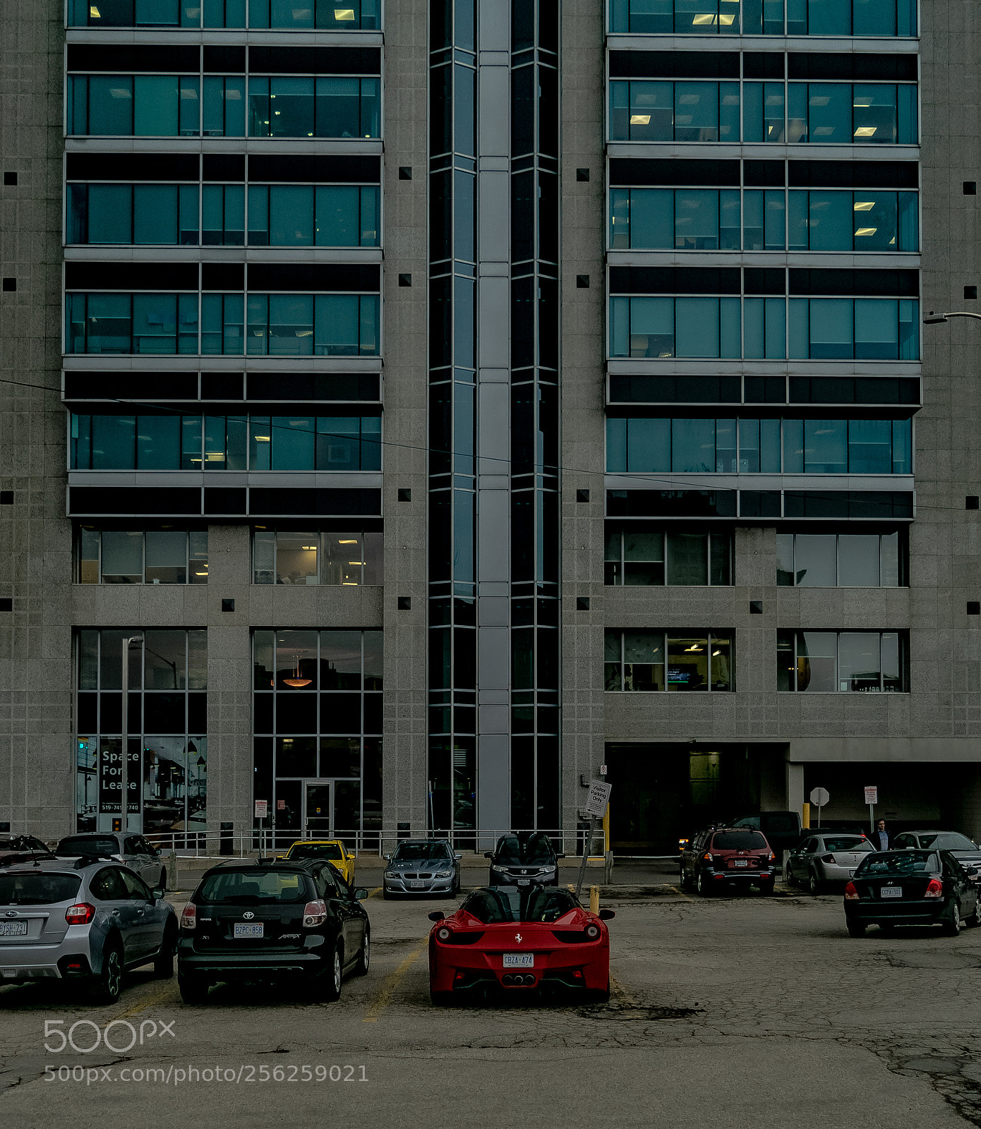 Nikon D3300 sample photo. Rararri photography