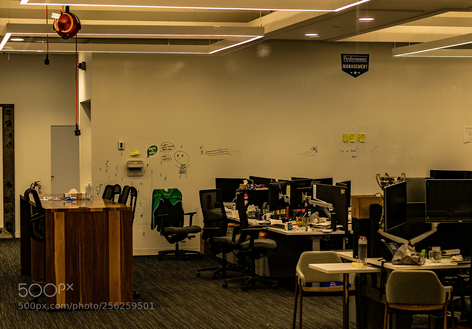 Nikon D3300 sample photo. Wednesday photography