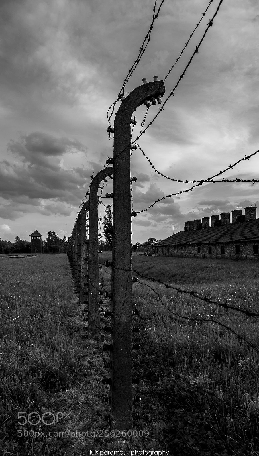 Olympus OM-D E-M1 sample photo. Birkenau photography