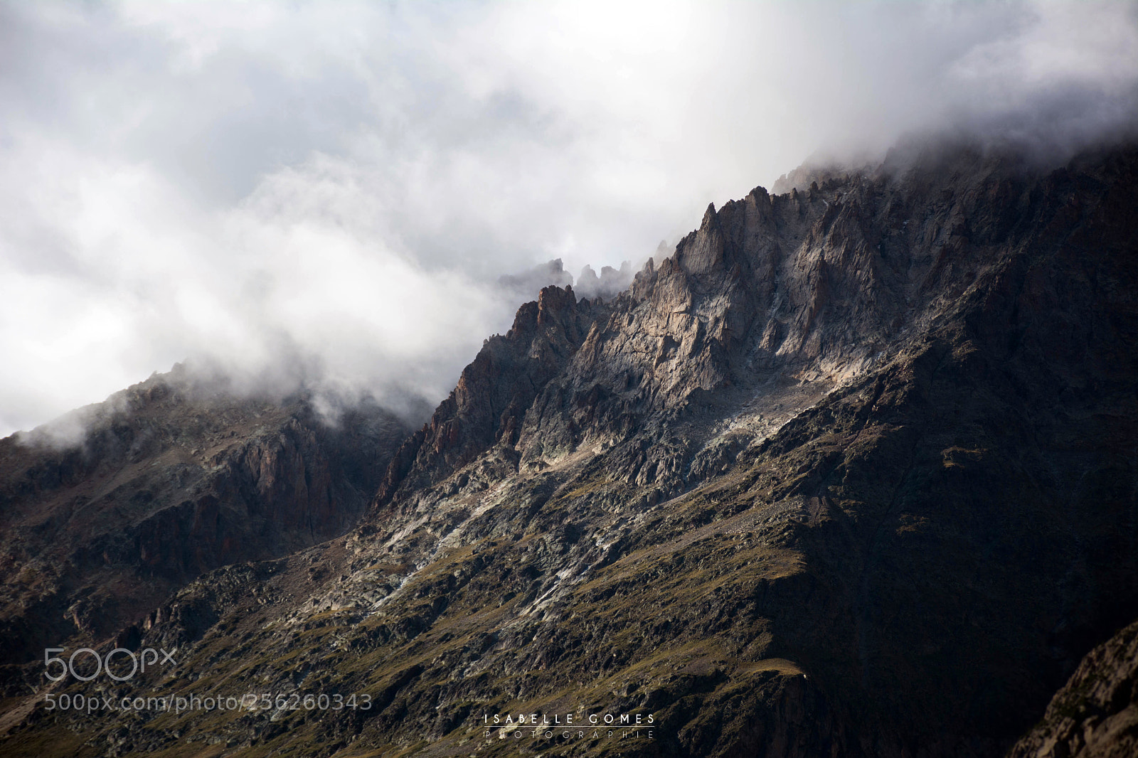 Nikon D7100 sample photo. Aiguilles crins dans les photography