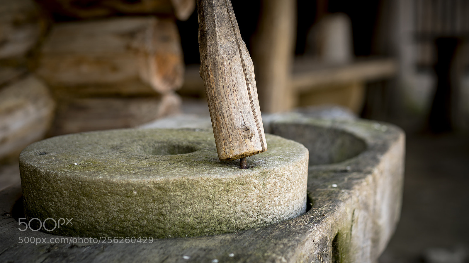 Sony a7S II sample photo. Osada photography