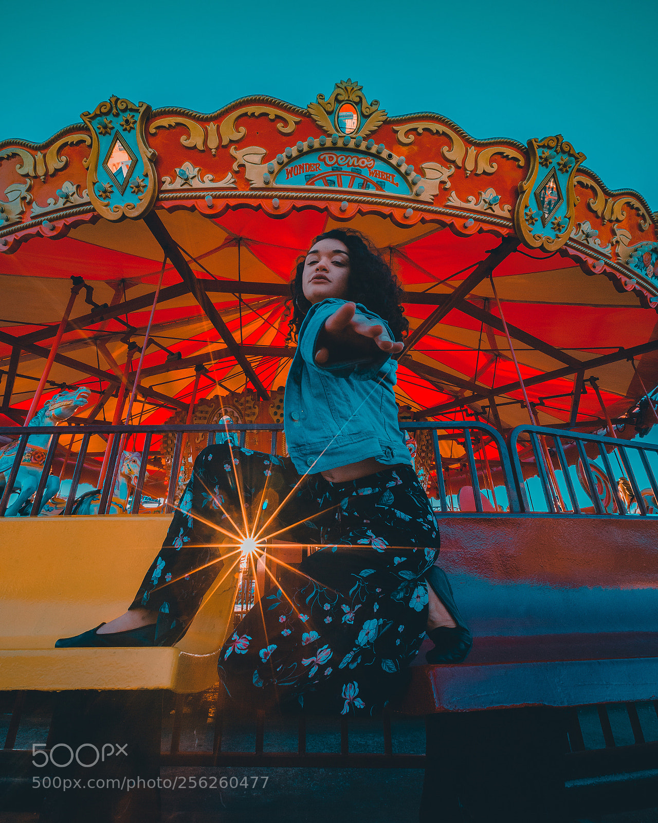 Canon EOS 6D sample photo. Reach for the star photography
