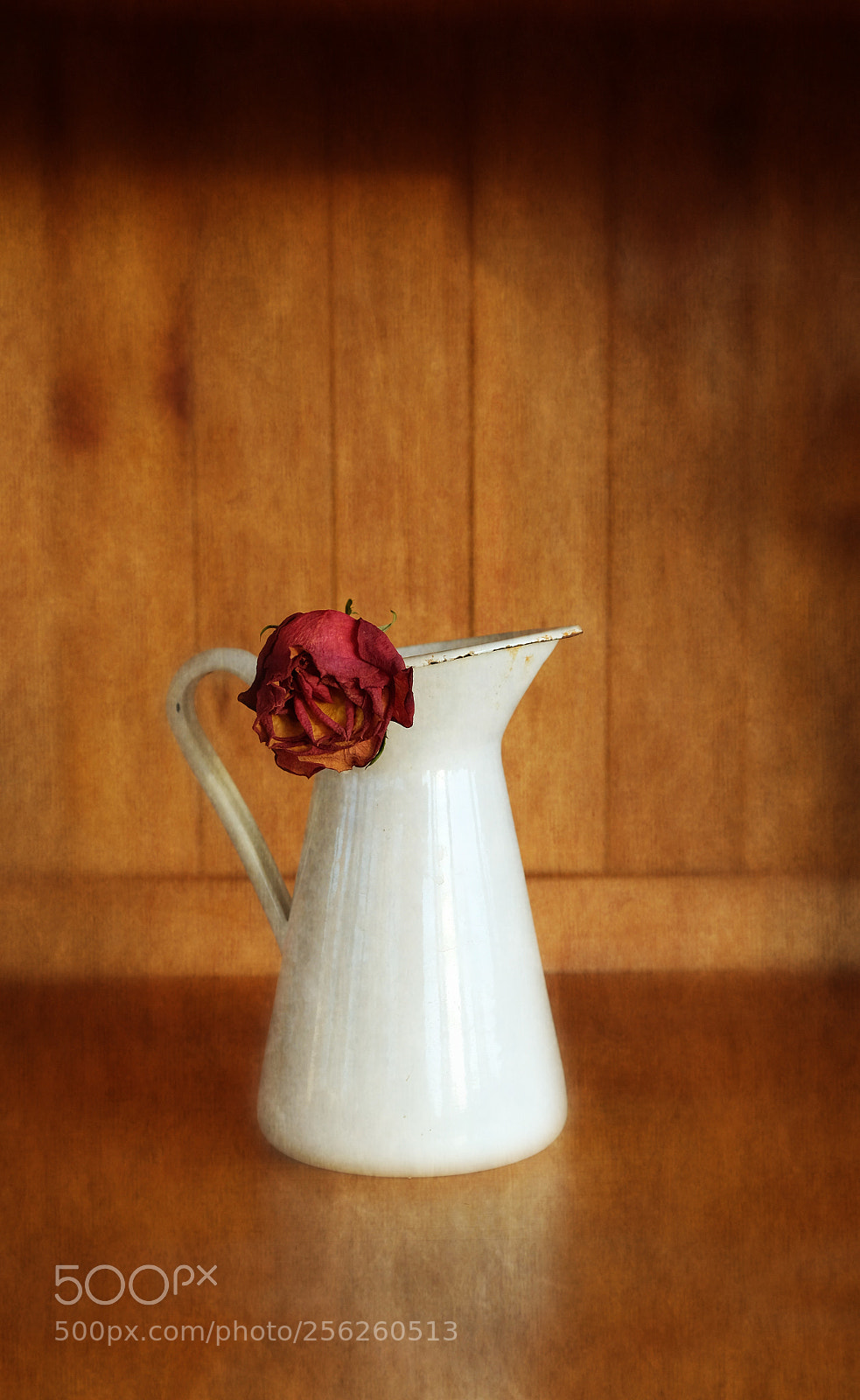 Fujifilm X-T2 sample photo. Flower photography