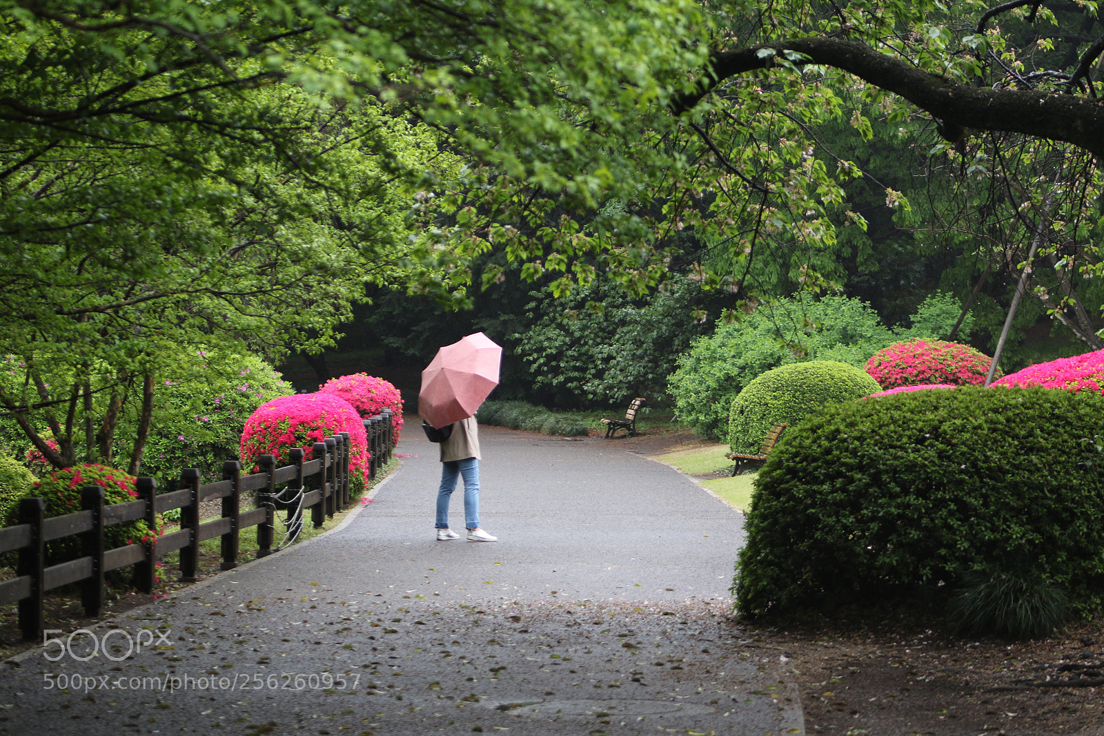 Canon EOS 7D Mark II sample photo. On a rainy day  photography