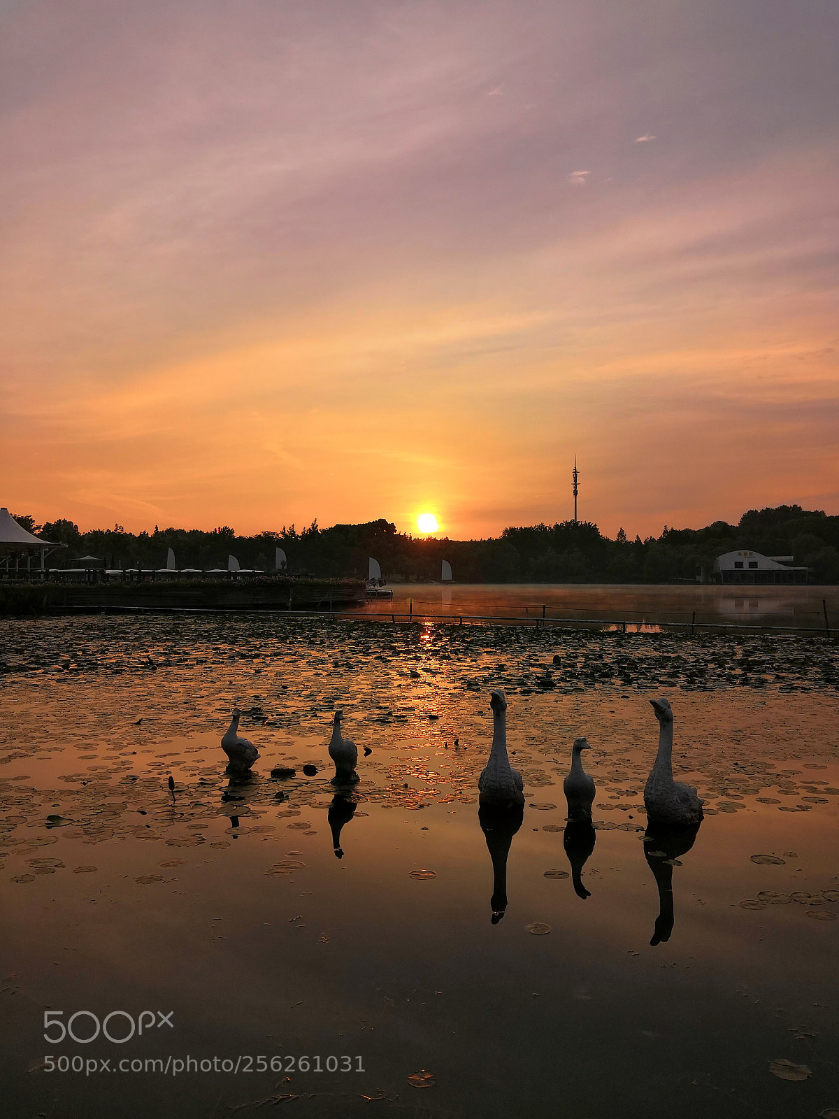 HUAWEI Honor 10 sample photo. Sunrise, 2 photography