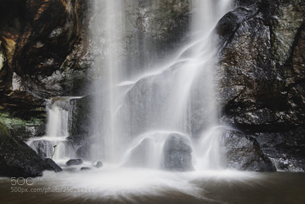 Nikon D200 sample photo. Roughting linn copy photography