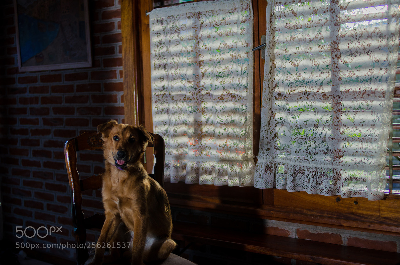 Nikon D7000 sample photo. Midas photography