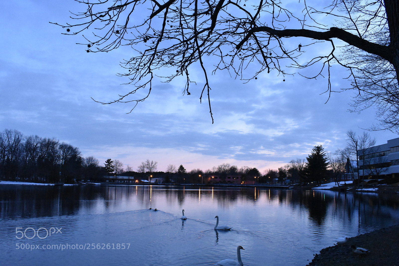 Nikon D3400 sample photo. Blue hour lake photography