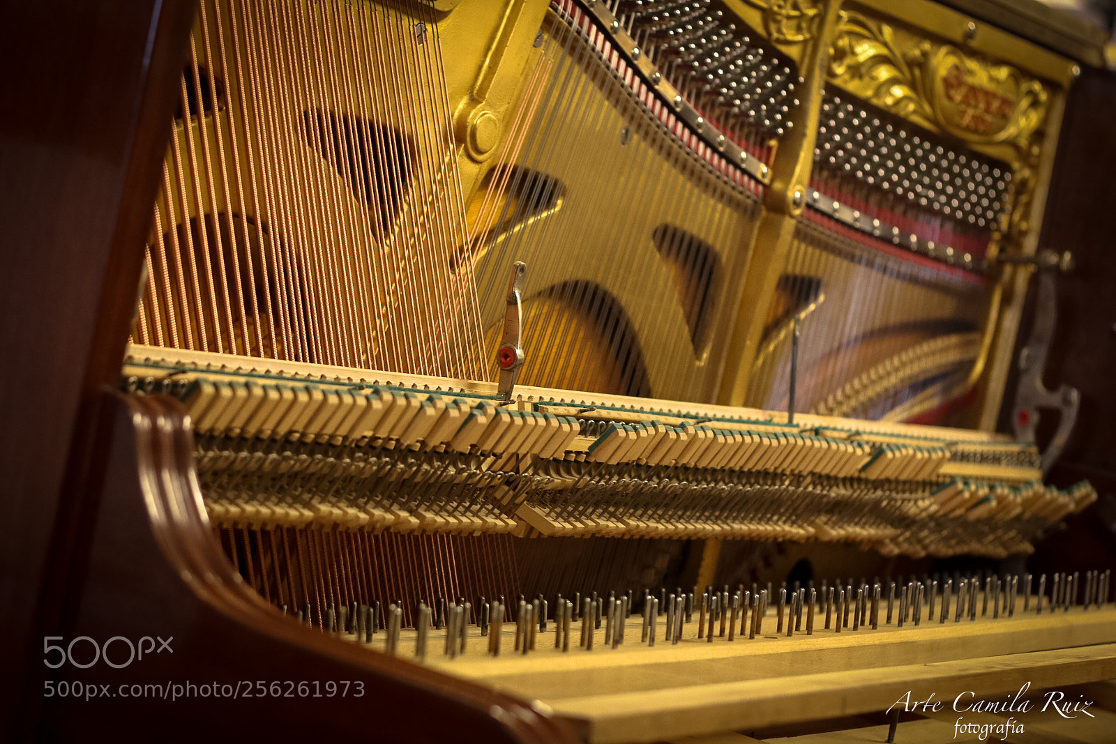 Canon EOS 70D sample photo. Piano, how looks inside photography