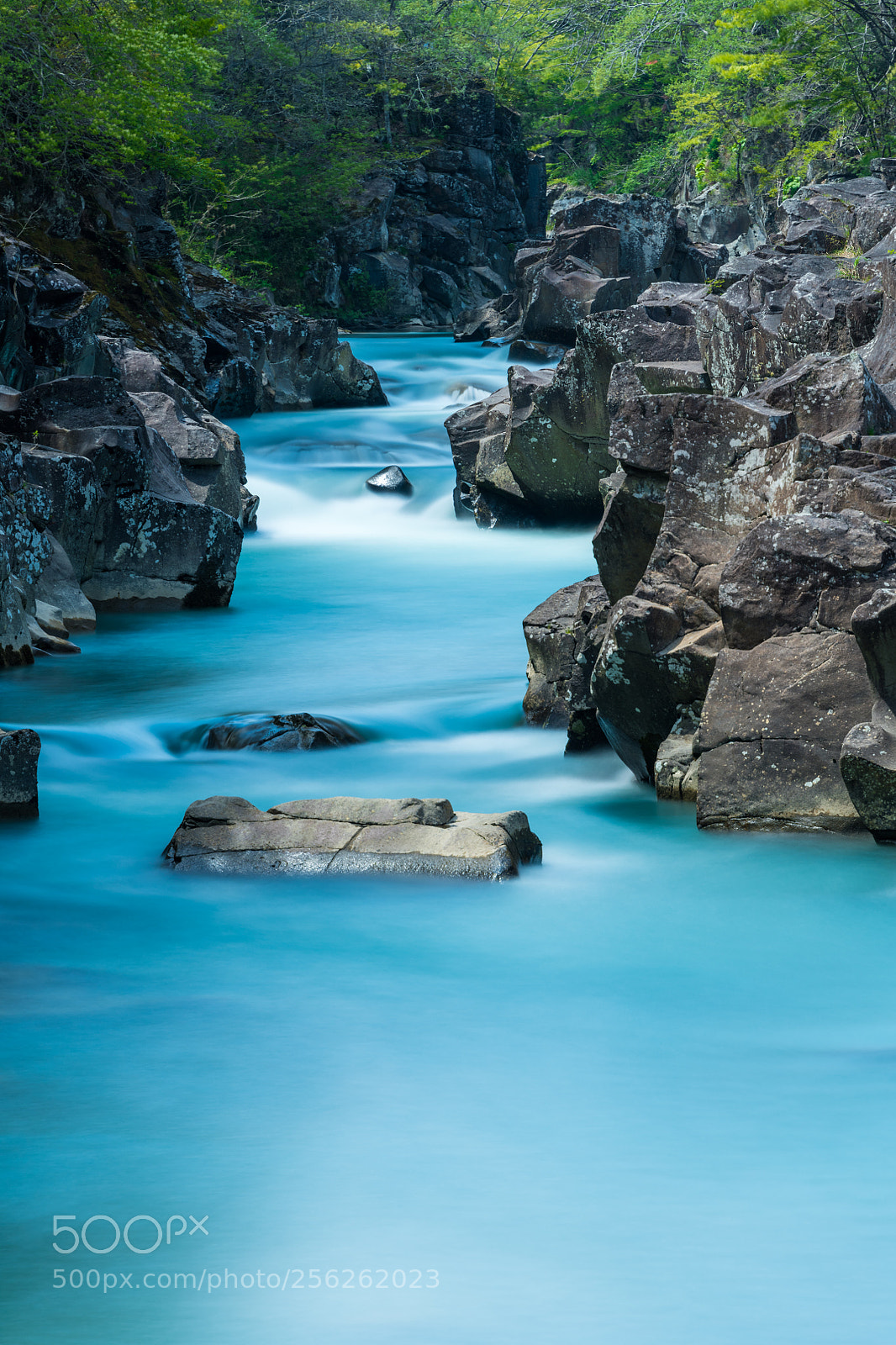 Nikon D850 sample photo. Genbi gorge photography