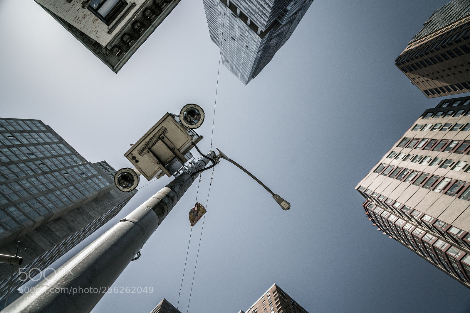 Sony a7R II sample photo. Dd photography