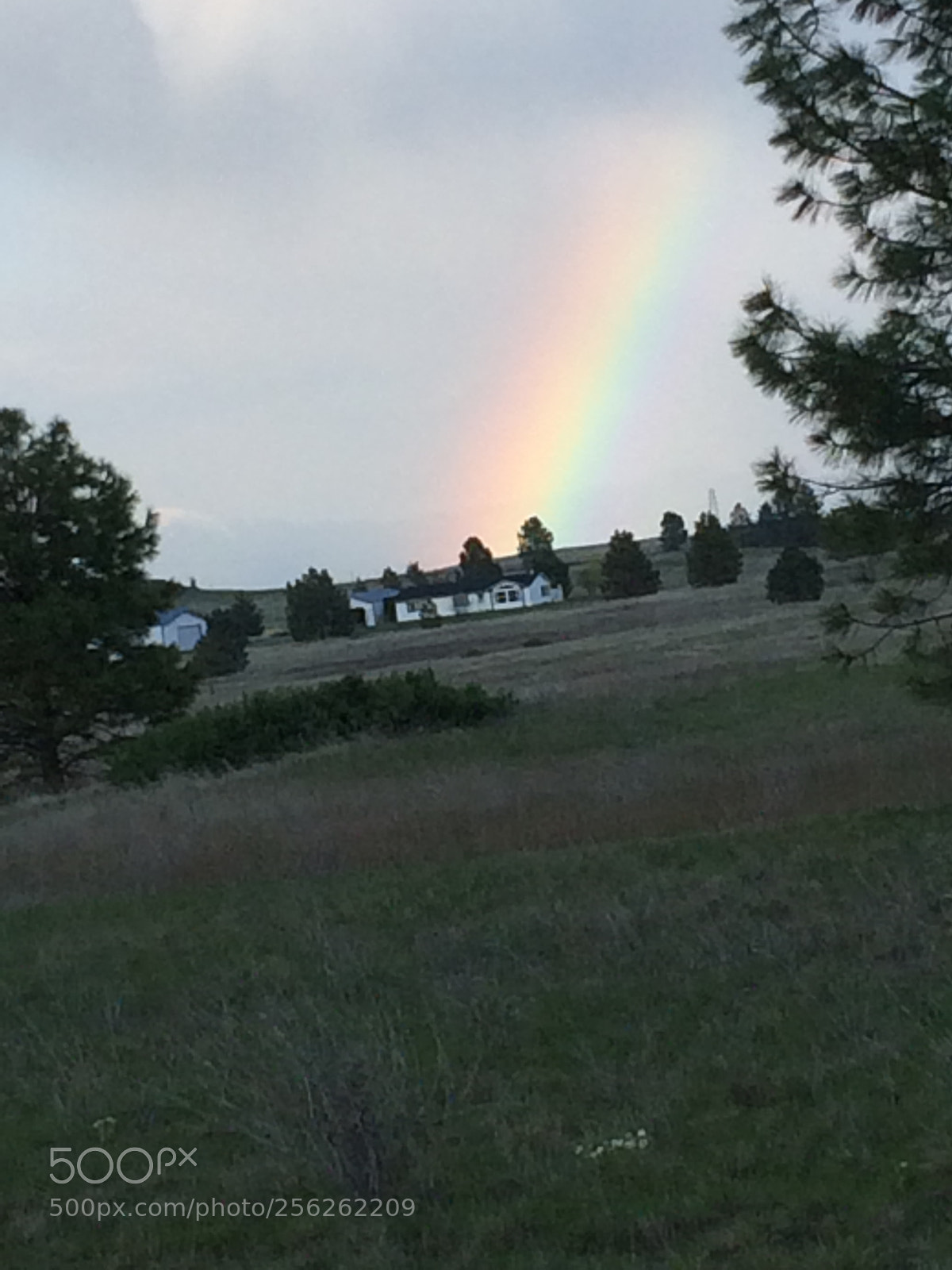 Apple iPhone 5s sample photo. Rainbows photography