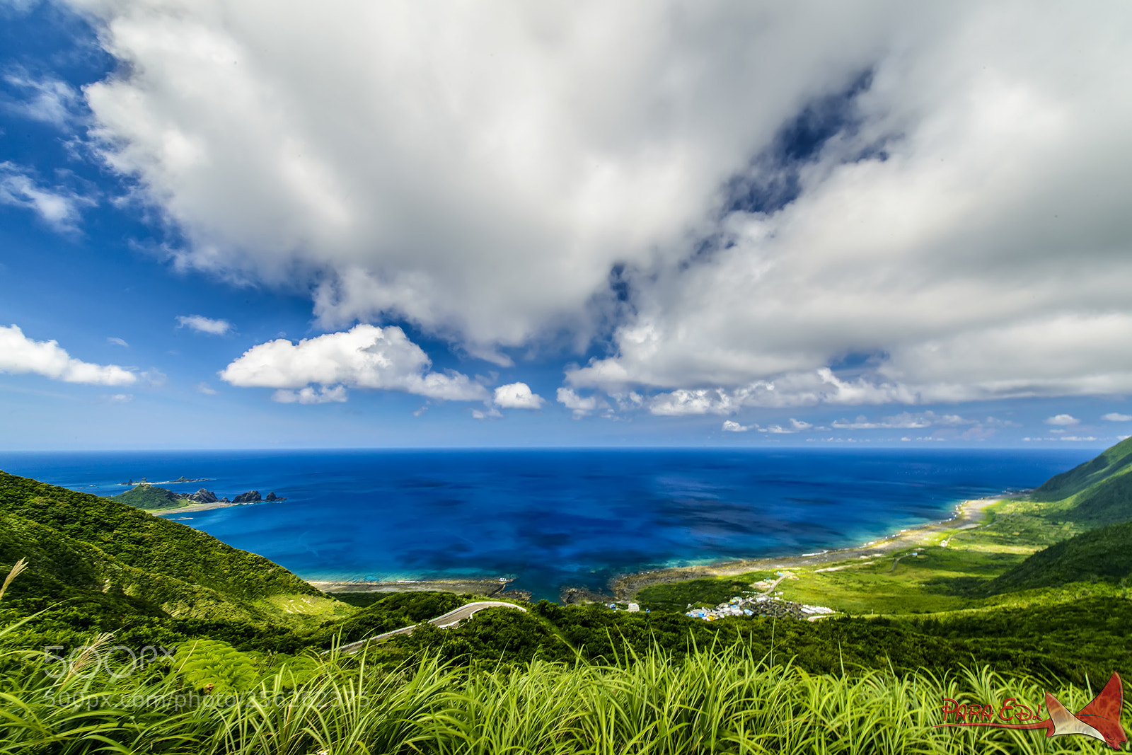 Nikon D800E sample photo. Da-wu( lan-yu) photography