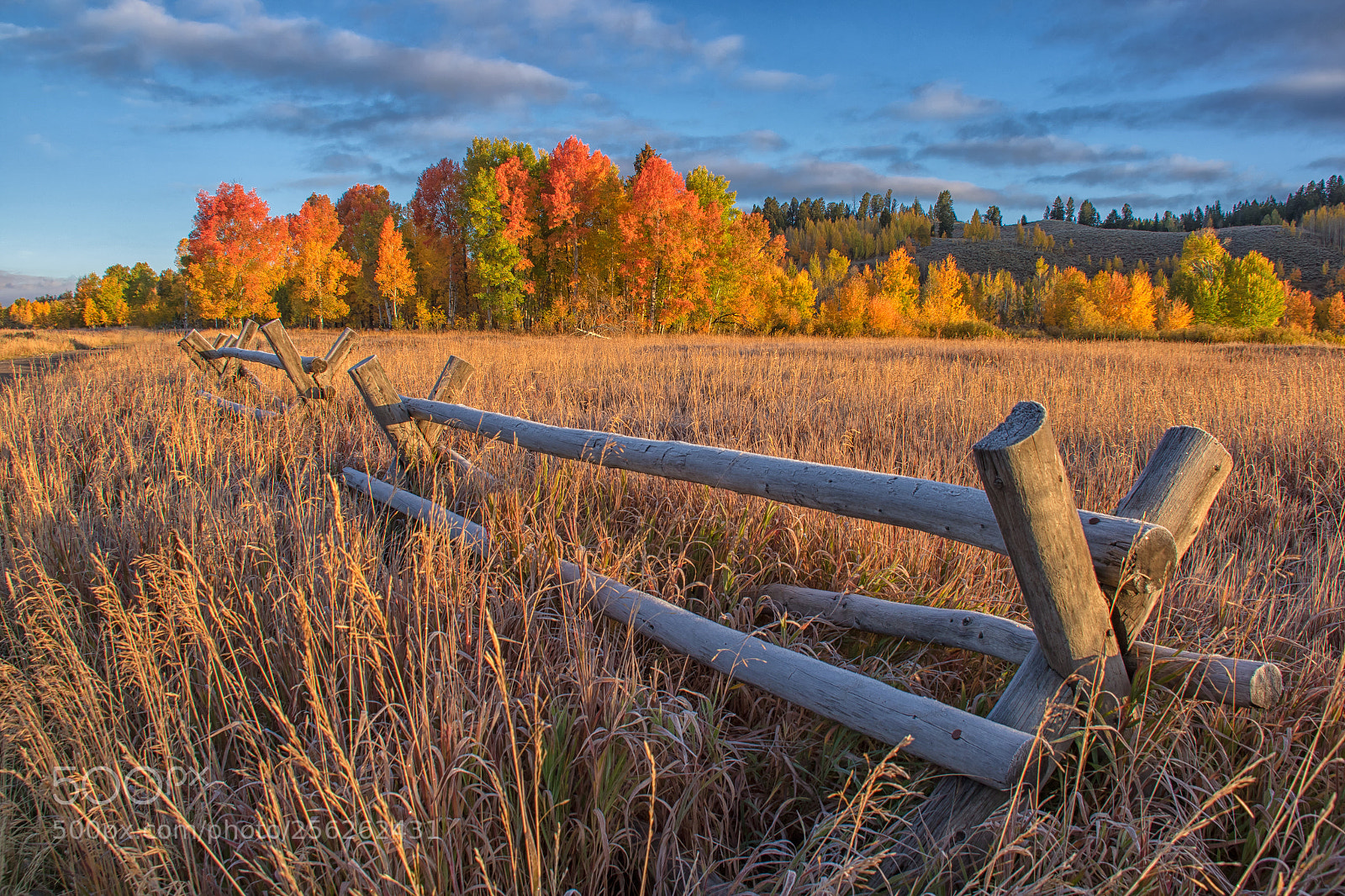 Canon EOS 7D Mark II sample photo. Fall in wyoming photography