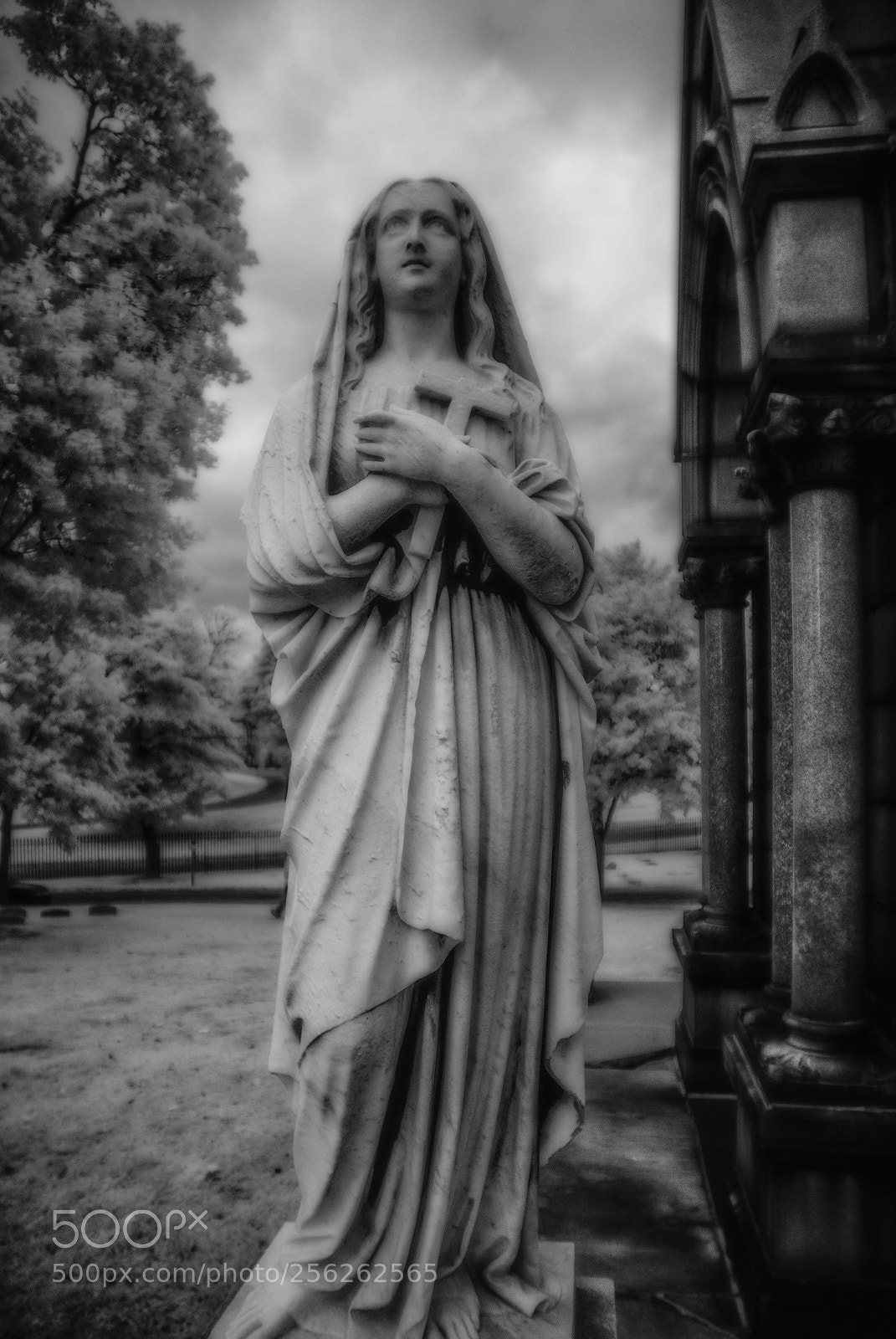 Nikon D40X sample photo. Pratte at pratt's photography